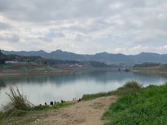 -金海湾滨江公园