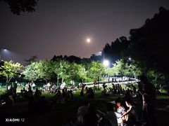 -火炉山森林公园