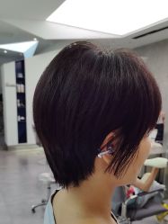 -天使之手