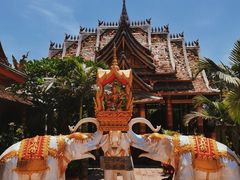 -西双版纳傣族园