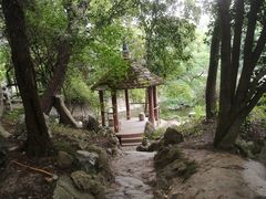 -叶家花园