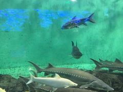 -太平洋海底世界