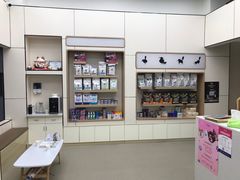 -凯瑞希宠物医院·狂犬免疫·微创·皮肤科
