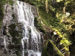 -藏龙百瀑风景区