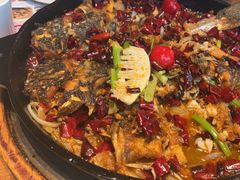 -老板恋上鱼(恒隆广场店)