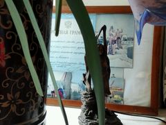 -露西亚咖啡西餐厅(哈尔滨俄侨纪念馆店)