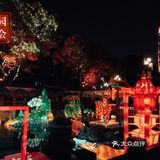 上海最有年味儿的地方🏮豫园灯会