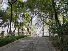 -北极阁公园