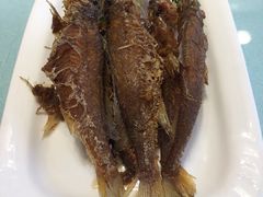 -浦江餐饮•上海菜馆(五四路店)
