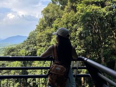 -广州市帽峰山景区