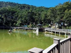 -沂蒙山旅游区云蒙景区(蒙山国家森林公园)