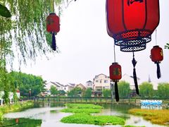 -金山嘴渔村