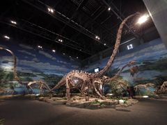 -自贡恐龙博物馆