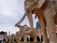 -中国死海旅游度假区