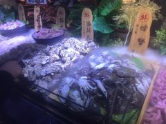 -聚盛源蒸汽海鲜火锅烤肉自助(巨川金海岸购物广场店)