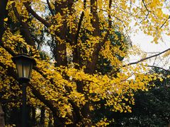-中山公园