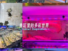 -青石桥花鸟鱼虫市场(叠翠城店)