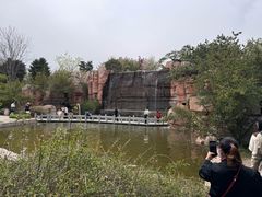 -石家庄市植物园