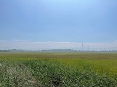 -野鸭湖国家湿地公园