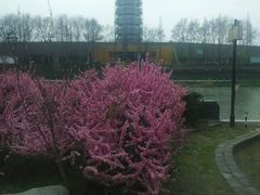 -御庭精品酒店(秦淮河店)