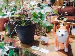 -柴务处·柴犬主题狗咖