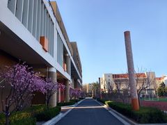 -山东省青岛第二中学(江西路分校)