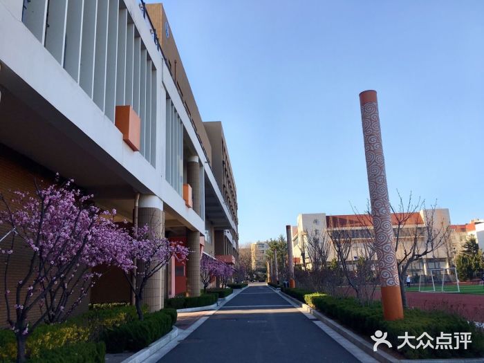 山东省青岛第二中学(江西路分校)图片