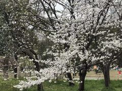 -堤角公园