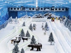 -世界之窗阿尔卑斯冰雪世界