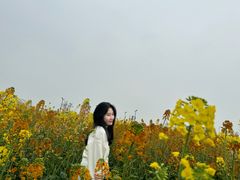 -中国天府农业博览园