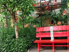 -南宫五洲植物乐园