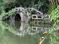 -云南勐巴娜西珍奇园