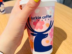 -luckincoffee瑞幸咖啡(顺义华联商厦店)