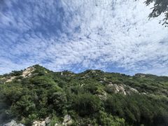 -阳台山自然风景区