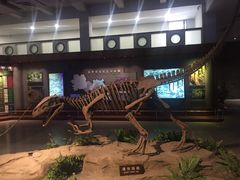 -自贡恐龙博物馆