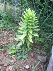 -孩子王(奥克斯广场店)