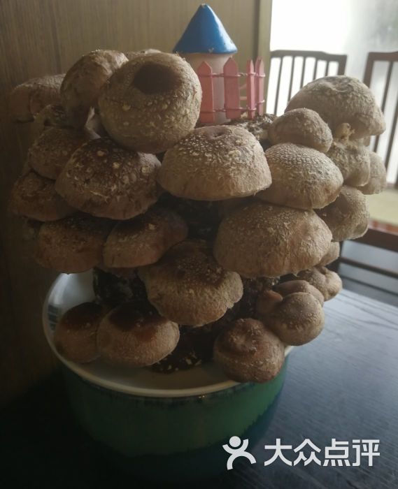 捞王锅物料理(控江店)鲜采松香菇图片 - 第1张