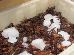 -菜哥龙虾•九江菜(七中店)