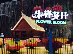 -南宁万达茂娱乐岛