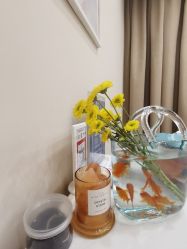 -颜和骨正·明哲式骨相美学整骨