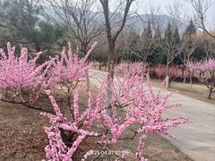 -国家植物园