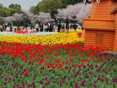 -苏州上方山国家森林公园