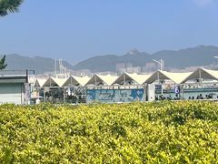-刘公岛景区