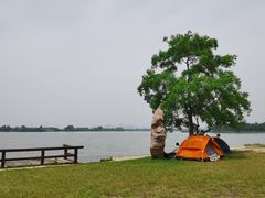 -东湖落雁景区