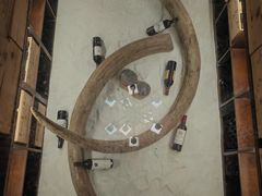 -福禧酒窖·中餐厅 (万柳店)