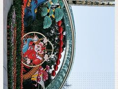 -南山植物园