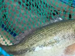 -喜来酌海鲜·饺子(和平一店)