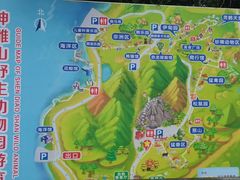 -西霞口神雕山野生动物世界