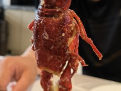-洪福龙虾