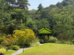 -云溪植物园